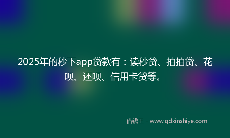 2025年的秒下app贷款有：读秒贷、拍拍贷、花呗、还呗、信用卡贷等。