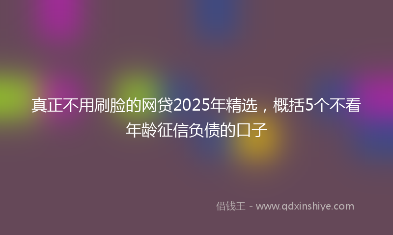 真正不用刷脸的网贷2025年精选，概括5个不看年龄征信负债的口子