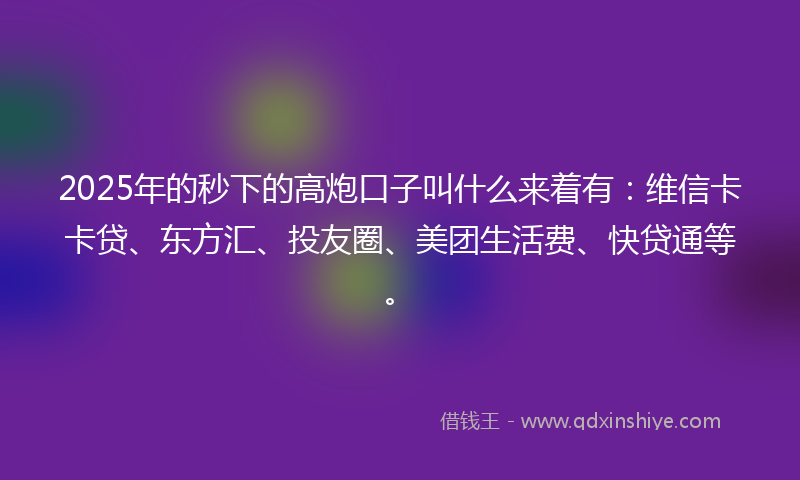 2025年的秒下的高炮口子叫什么来着有：维信卡卡贷、东方汇、投友圈、美团生活费、快贷通等。