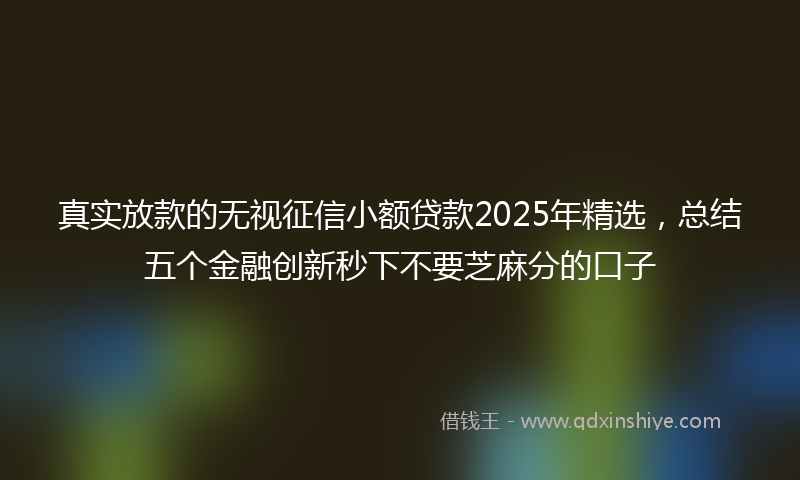真实放款的无视征信小额贷款2025年精选，总结五个金融创新秒下不要芝麻分的口子