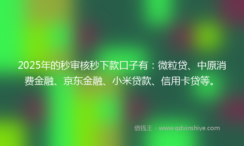 2025年的秒审核秒下款口子有：微粒贷、中原消费金融、京东金融、小米贷款、信用卡贷等。