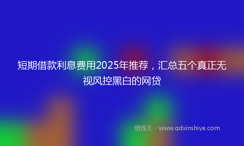 短期借款利息费用2025年推荐，汇总五个真正无视风控黑白的网贷