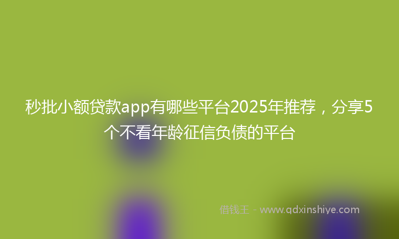 秒批小额贷款app有哪些平台2025年推荐，分享5个不看年龄征信负债的平台