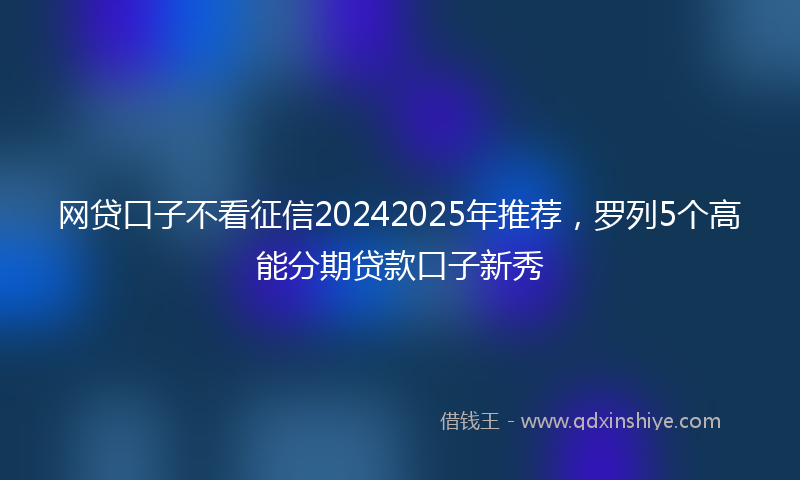 网贷口子不看征信20242025年推荐，罗列5个高能分期贷款口子新秀