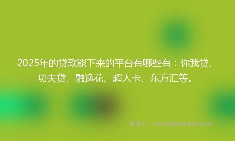 2025年的贷款能下来的平台有哪些有:你我贷、功夫贷、融逸花、超人卡、东方汇等。