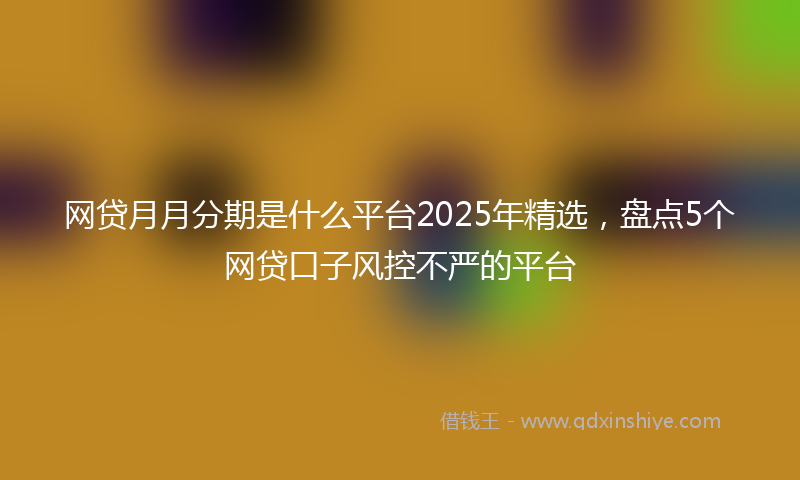网贷月月分期是什么平台2025年精选，盘点5个网贷口子风控不严的平台