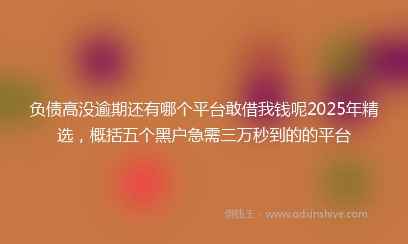 负债高没逾期还有哪个平台敢借我钱呢2025年精选，概括五个黑户急需三万秒到的的平台