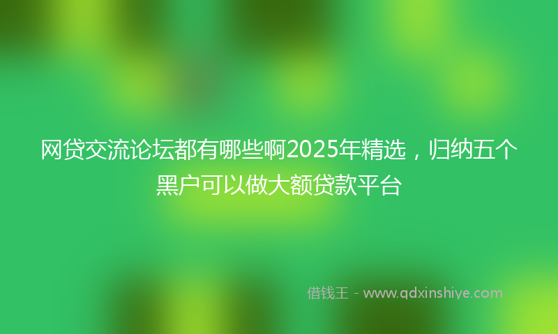 网贷交流论坛都有哪些啊2025年精选，归纳五个黑户可以做大额贷款平台