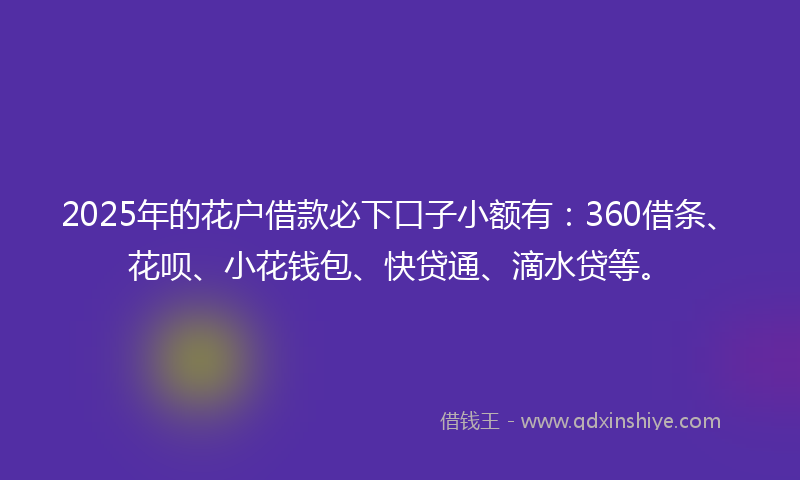 2025年的花户借款必下口子小额有：360借条、花呗、小花钱包、快贷通、滴水贷等。
