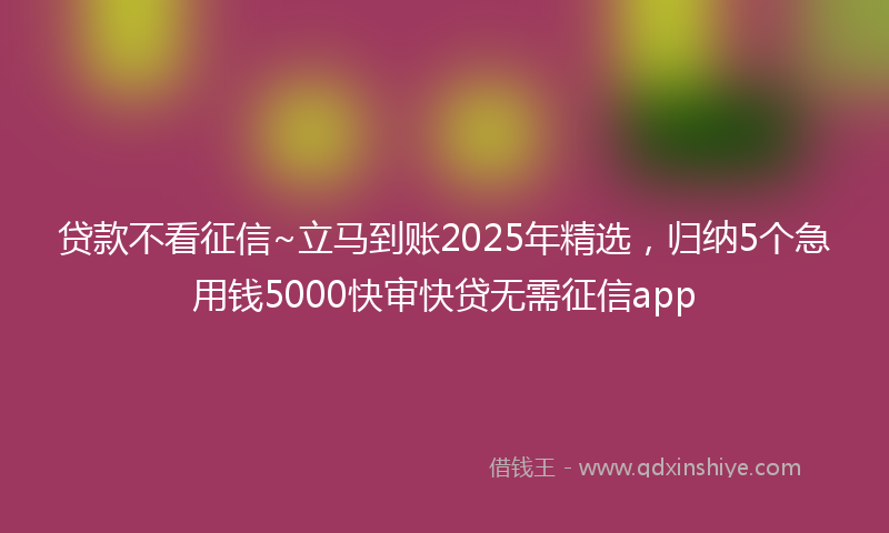 贷款不看征信~立马到账2025年精选，归纳5个急用钱5000快审快贷无需征信app