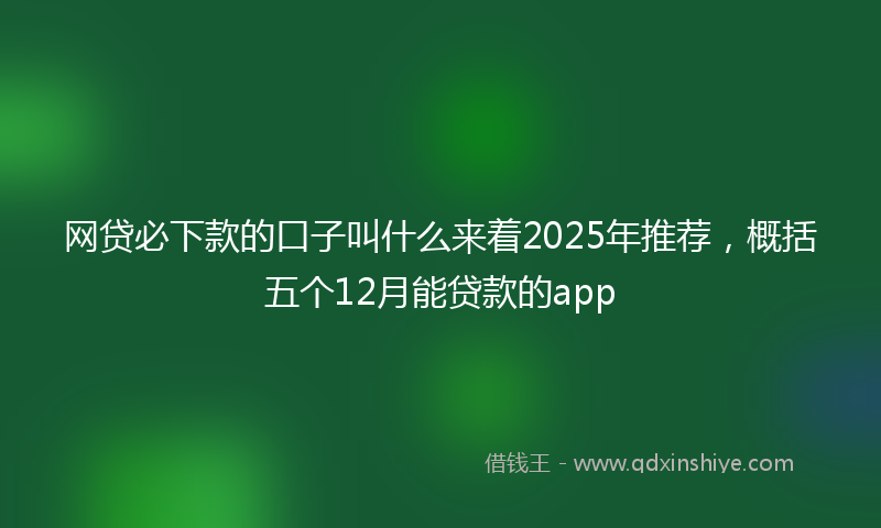 网贷必下款的口子叫什么来着2025年推荐，概括五个12月能贷款的app