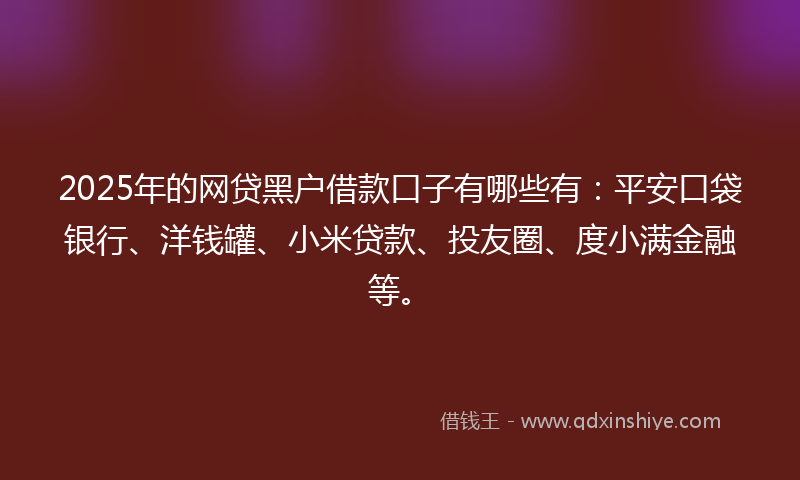 2025年的网贷黑户借款口子有哪些有：平安口袋银行、洋钱罐、小米贷款、投友圈、度小满金融等。