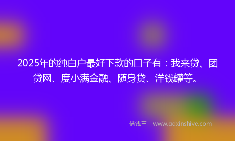 2025年的纯白户最好下款的口子有：我来贷、团贷网、度小满金融、随身贷、洋钱罐等。