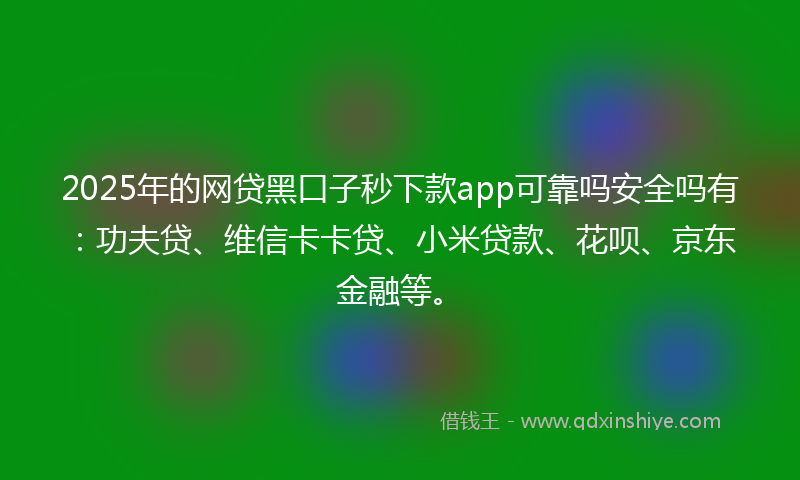 2025年的网贷黑口子秒下款app可靠吗安全吗有：功夫贷、维信卡卡贷、小米贷款、花呗、京东金融等。