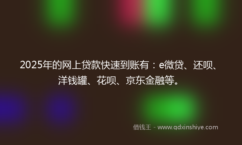2025年的网上贷款快速到账有：e微贷、还呗、洋钱罐、花呗、京东金融等。