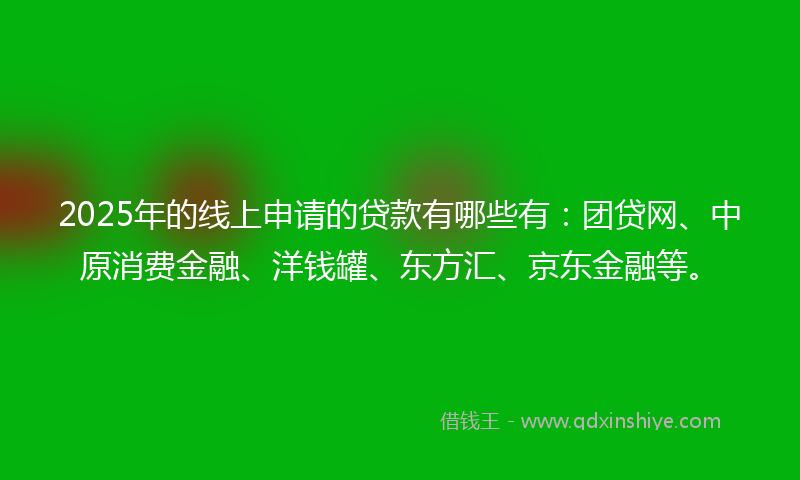 2025年的线上申请的贷款有哪些有：团贷网、中原消费金融、洋钱罐、东方汇、京东金融等。