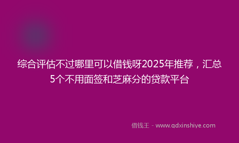 综合评估不过哪里可以借钱呀2025年推荐，汇总5个不用面签和芝麻分的贷款平台
