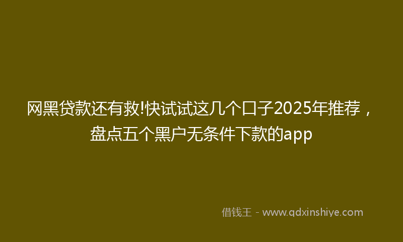 网黑贷款还有救!快试试这几个口子2025年推荐，盘点五个黑户无条件下款的app
