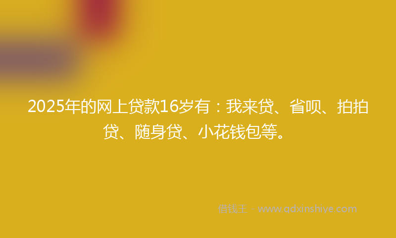 2025年的网上贷款16岁有：我来贷、省呗、拍拍贷、随身贷、小花钱包等。