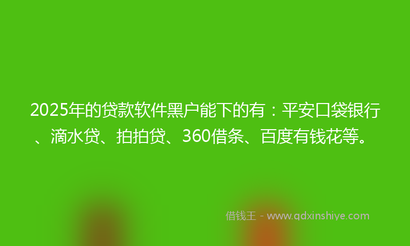 2025年的贷款软件黑户能下的有：平安口袋银行、滴水贷、拍拍贷、360借条、百度有钱花等。