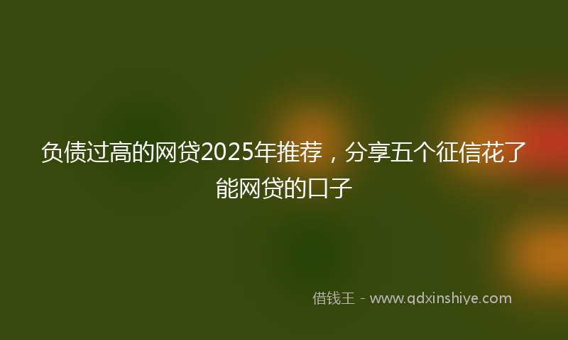负债过高的网贷2025年推荐，分享五个征信花了能网贷的口子