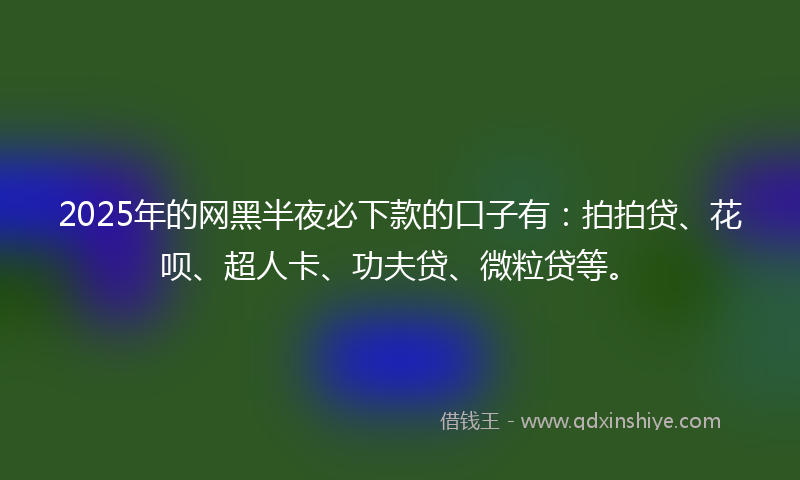 2025年的网黑半夜必下款的口子有：拍拍贷、花呗、超人卡、功夫贷、微粒贷等。
