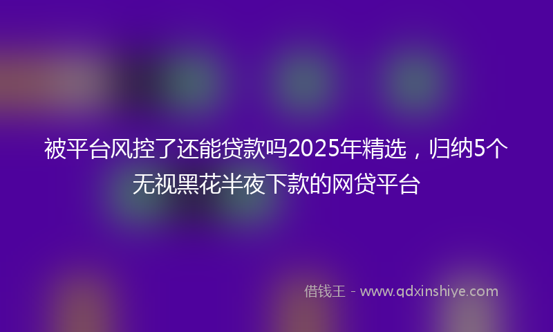 被平台风控了还能贷款吗2025年精选，归纳5个无视黑花半夜下款的网贷平台