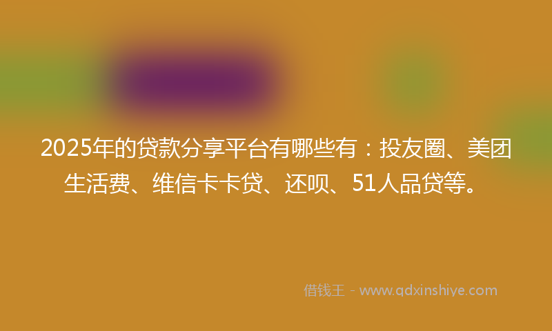 2025年的贷款分享平台有哪些有：投友圈、美团生活费、维信卡卡贷、还呗、51人品贷等。