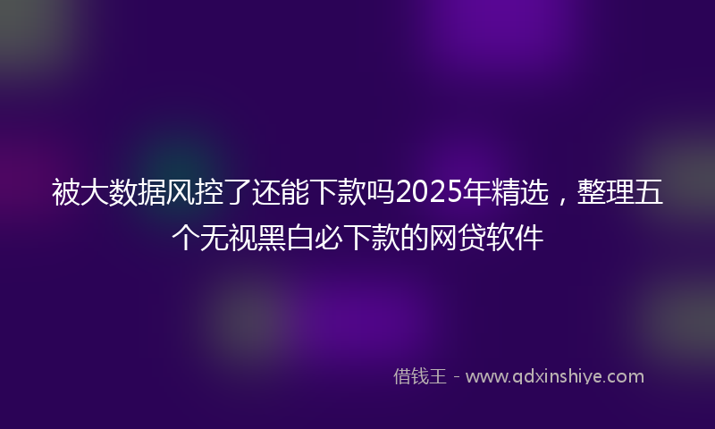 被大数据风控了还能下款吗2025年精选，整理五个无视黑白必下款的网贷软件