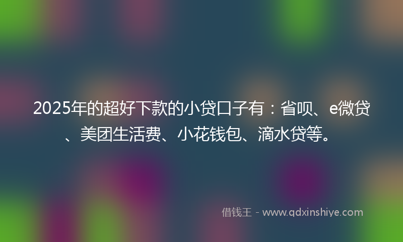 2025年的超好下款的小贷口子有：省呗、e微贷、美团生活费、小花钱包、滴水贷等。