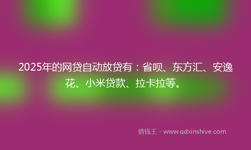 2025年的网贷自动放贷有：省呗、东方汇、安逸花、小米贷款、拉卡拉等。