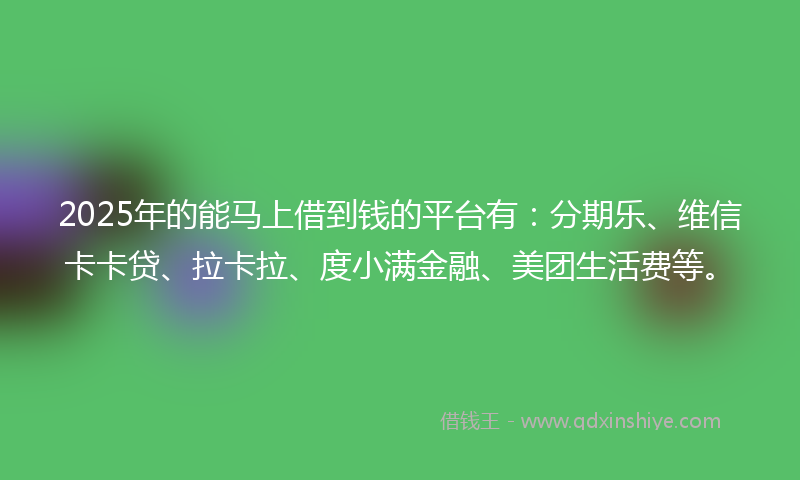 2025年的能马上借到钱的平台有：分期乐、维信卡卡贷、拉卡拉、度小满金融、美团生活费等。
