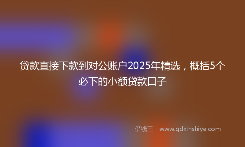 贷款直接下款到对公账户2025年精选，概括5个必下的小额贷款口子