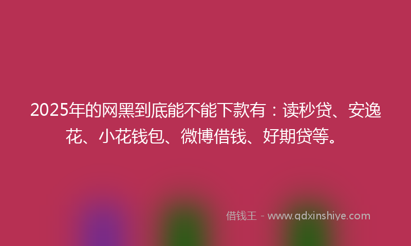 2025年的网黑到底能不能下款有：读秒贷、安逸花、小花钱包、微博借钱、好期贷等。