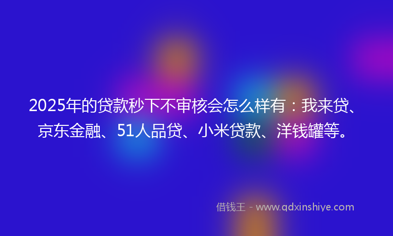 2025年的贷款秒下不审核会怎么样有：我来贷、京东金融、51人品贷、小米贷款、洋钱罐等。