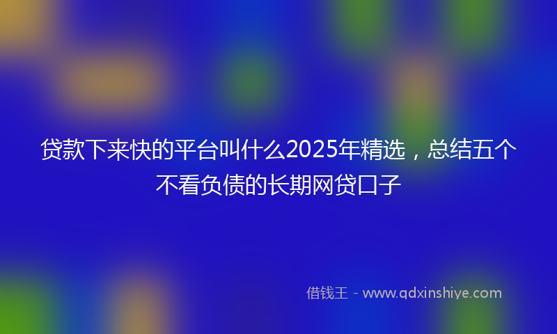 贷款下来快的平台叫什么2025年精选，总结五个不看负债的长期网贷口子
