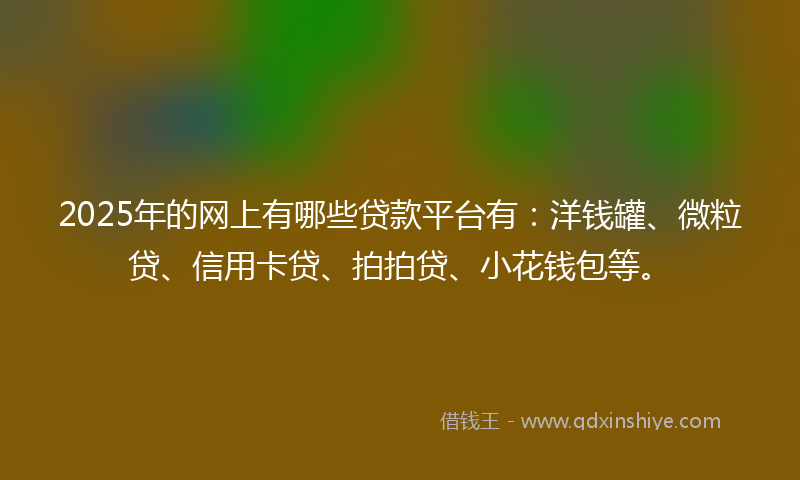 2025年的网上有哪些贷款平台有：洋钱罐、微粒贷、信用卡贷、拍拍贷、小花钱包等。