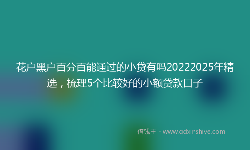 花户黑户百分百能通过的小贷有吗20222025年精选，梳理5个比较好的小额贷款口子