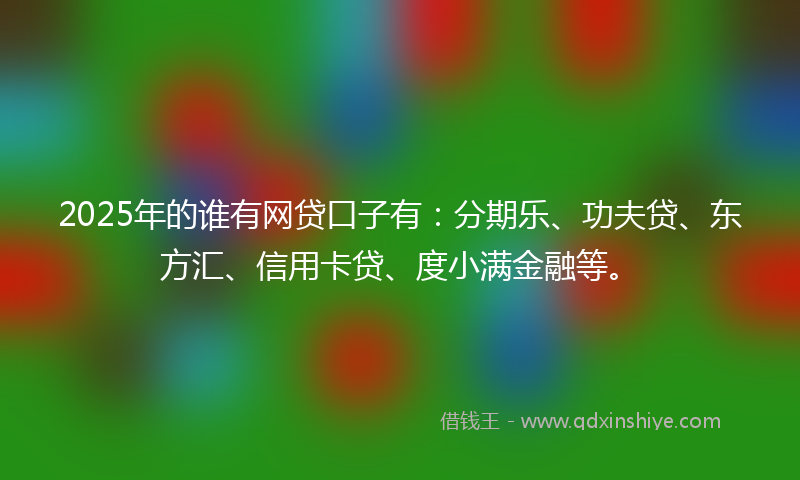 2025年的谁有网贷口子有：分期乐、功夫贷、东方汇、信用卡贷、度小满金融等。