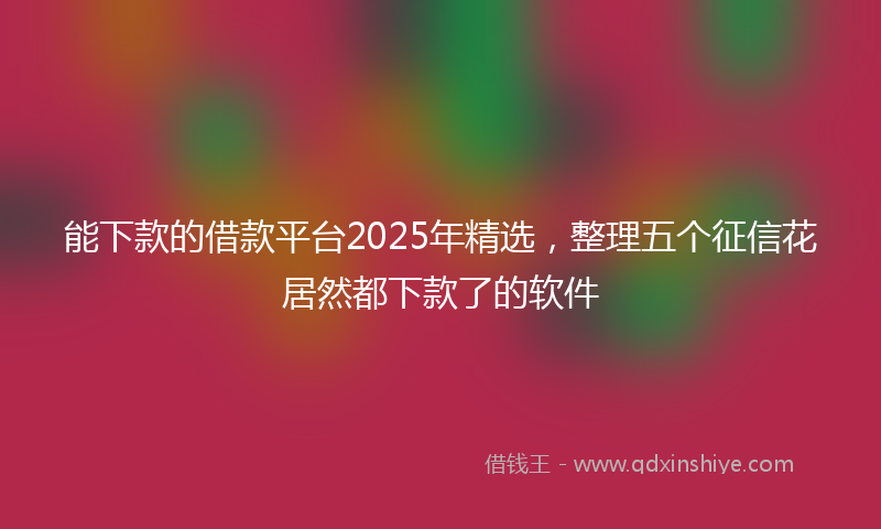 能下款的借款平台2025年精选，整理五个征信花居然都下款了的软件