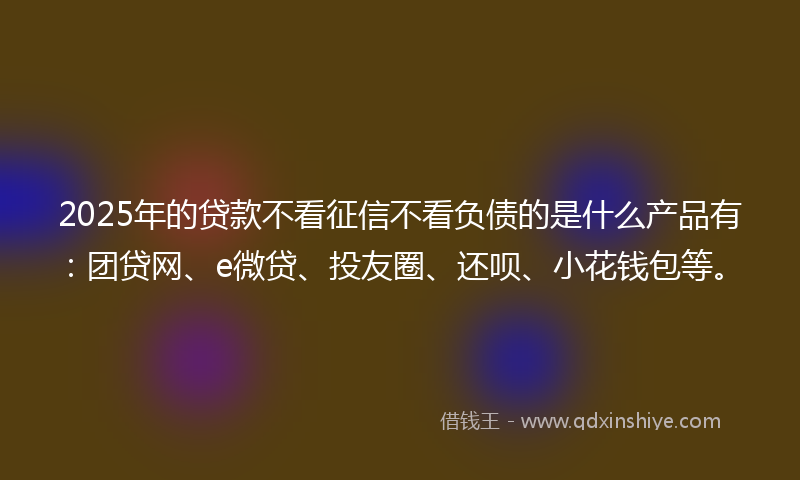 2025年的贷款不看征信不看负债的是什么产品有：团贷网、e微贷、投友圈、还呗、小花钱包等。
