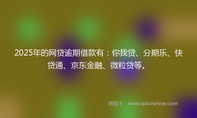 2025年的网贷逾期借款有:你我贷、分期乐、快贷通、京东金融、微粒贷等。