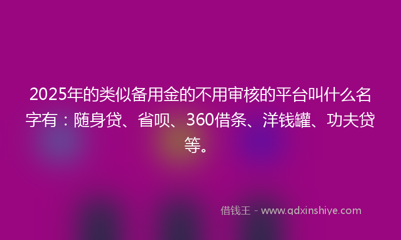 2025年的类似备用金的不用审核的平台叫什么名字有：随身贷、省呗、360借条、洋钱罐、功夫贷等。