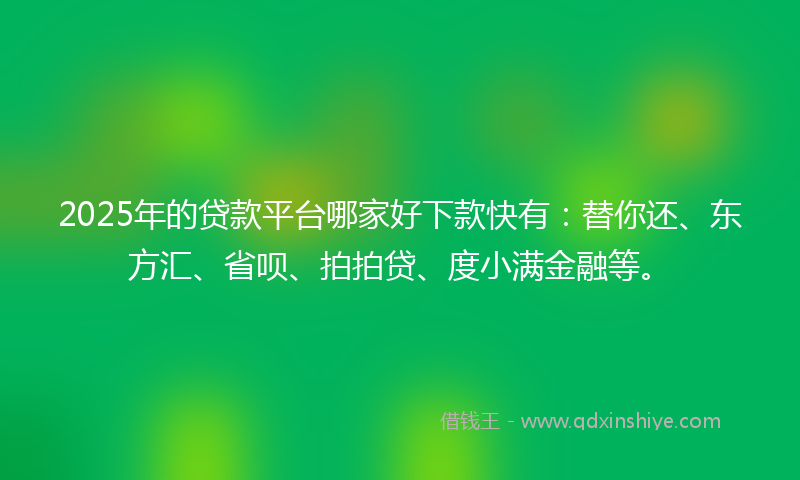2025年的贷款平台哪家好下款快有：替你还、东方汇、省呗、拍拍贷、度小满金融等。
