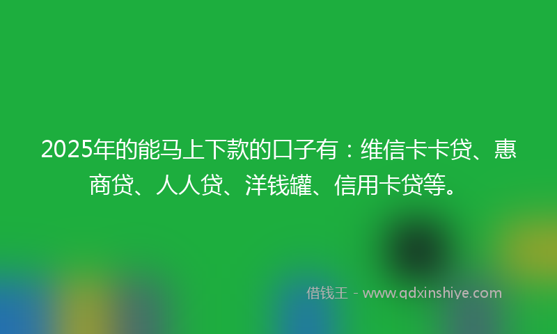 2025年的能马上下款的口子有：维信卡卡贷、惠商贷、人人贷、洋钱罐、信用卡贷等。