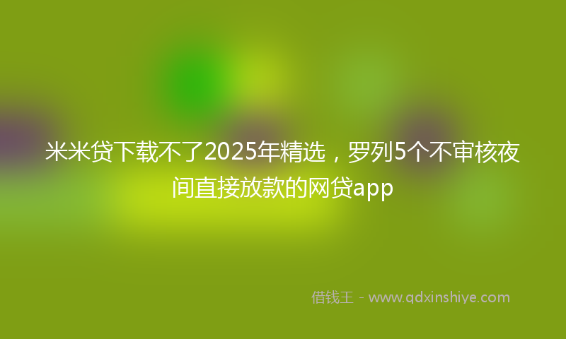 米米贷下载不了2025年精选，罗列5个不审核夜间直接放款的网贷app