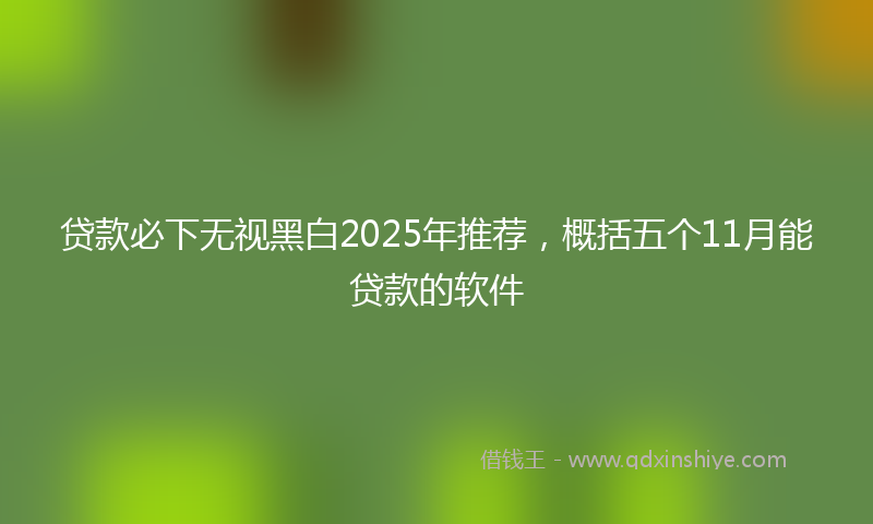 贷款必下无视黑白2025年推荐，概括五个11月能贷款的软件