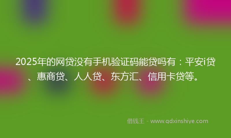 2025年的网贷没有手机验证码能贷吗有：平安i贷、惠商贷、人人贷、东方汇、信用卡贷等。