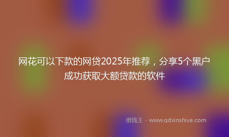 网花可以下款的网贷2025年推荐，分享5个黑户成功获取大额贷款的软件