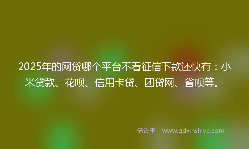2025年的网贷哪个平台不看征信下款还快有：小米贷款、花呗、信用卡贷、团贷网、省呗等。